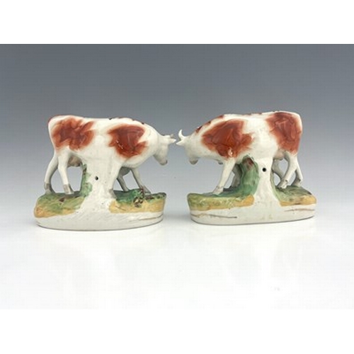 1059 - A pair of Staffordshire cows with calves, modelled standing beside a running stream with gilt line t... 