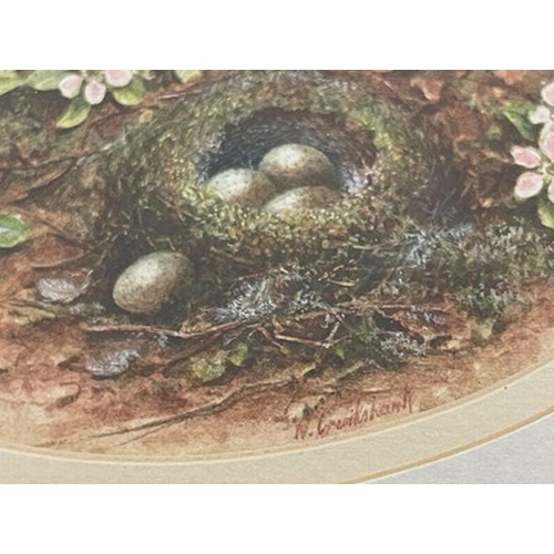 438 - William Cruickshank (British, 1848-1922), still life of eggs in bird nests and flowers on a mossy ba... 