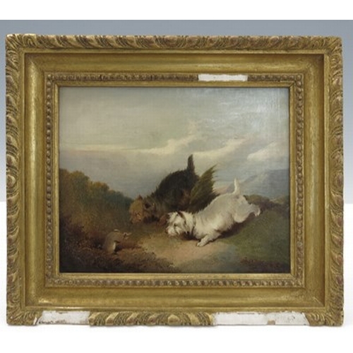 448 - C..Jones (British, 1836-1895), Terriers Rabbiting, signed l.r., oil on canvas, 20 by 24cm, gilt fram... 