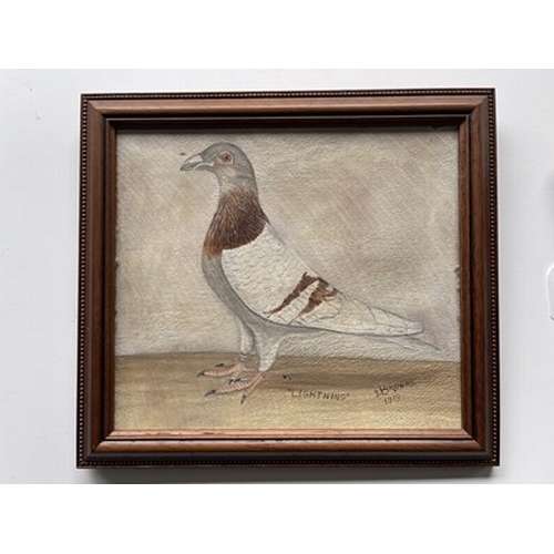 466A - J..Browne (British, early 20th Century), Lightning and Thunder, a pair of racing pigeon portraits, b... 