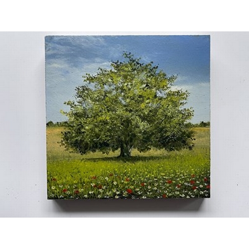 481 - Garry Raymond-Pereira (British, 1974), Summer Oak, signed and titled verso, oil on panel, 15 by 15cm... 