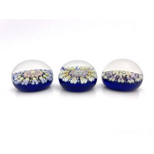 635 - Perthshire, three medium millefiori glass paperweights, pre 1978, blue grounds, central concentric f... 