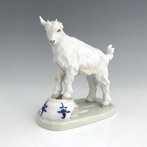 809 - A Meissen figure of a goat on a teacup, model V.107, later 20th century, 14.5cm high