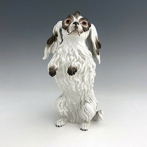 812 - A Meissen figure of a Bolognese dog, model 78586, early 20th century, after J J Kaendler, modelled s... 