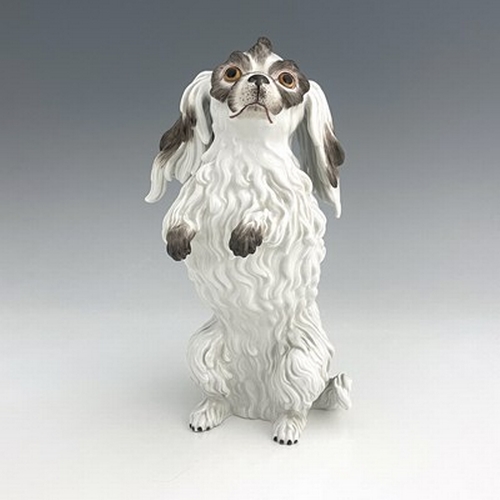 812 - A Meissen figure of a Bolognese dog, model 78586, early 20th century, after J J Kaendler, modelled s... 