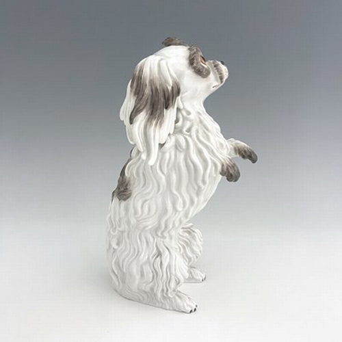 812 - A Meissen figure of a Bolognese dog, model 78586, early 20th century, after J J Kaendler, modelled s... 