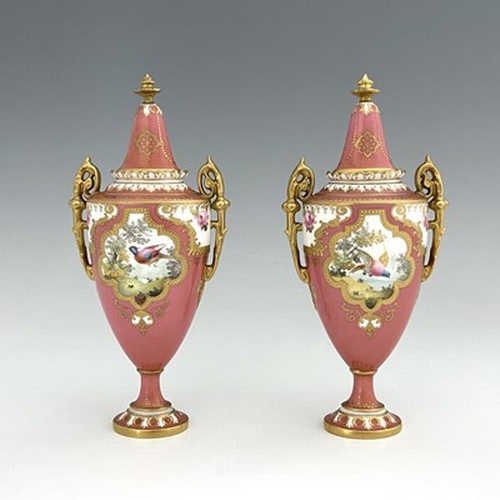 935 - A pair of Royal Crown Derby exotic bird painted vases and covers, 1909, twin handled pedestal urn fo... 