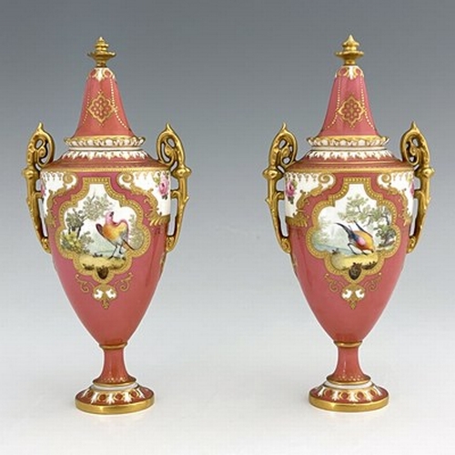 935 - A pair of Royal Crown Derby exotic bird painted vases and covers, 1909, twin handled pedestal urn fo... 