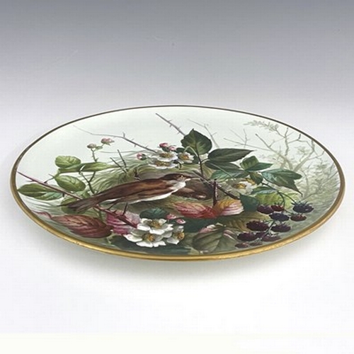 982 - A Continental porcelain painted plaque, decorated with a thrush and nest in blackberry brambles, imp... 