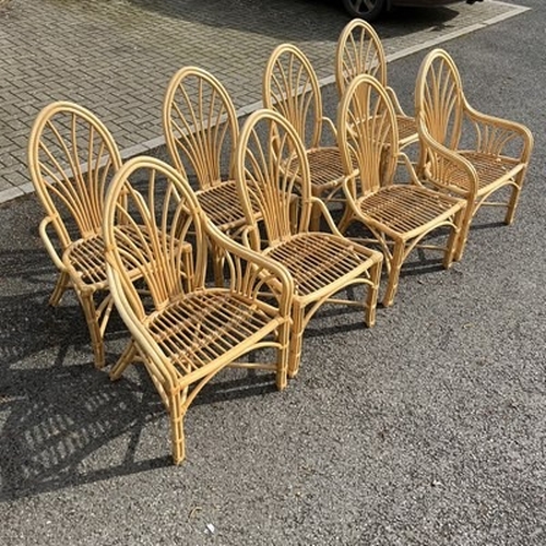 1029 - A set of eight cane conservatory chairs, including two armchairs and six single (8)