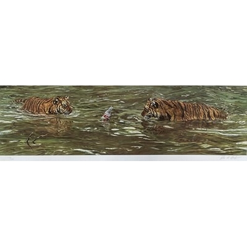 774 - 'Playful two tigers with a coke bottle', 118/500 limited edition print by Alan Hunt 78 x 25