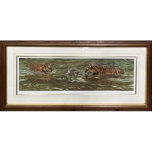 774 - 'Playful two tigers with a coke bottle', 118/500 limited edition print by Alan Hunt 78 x 25