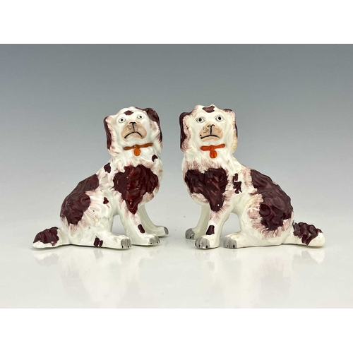 729 - A pair of Staffordshire porcelain dog figures of King Charles spaniels, brown patination, modelled s... 