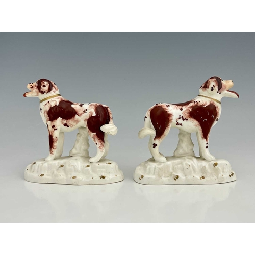 730 - A pair of Staffordshire porcelain figures of dogs, modelled standing on gilt tufted bases, mouths op... 