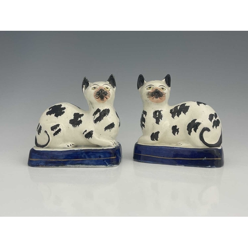 734 - A pair of Staffordshire pottery cats, mid 19th century, modelled seated, on blue bases, black sponge... 