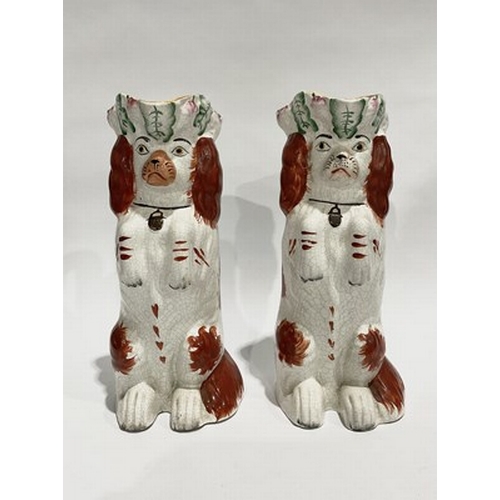 155 - A pair of Staffordshire style King Charles spaniel dogs with tricorn hats, 25cm high (2)