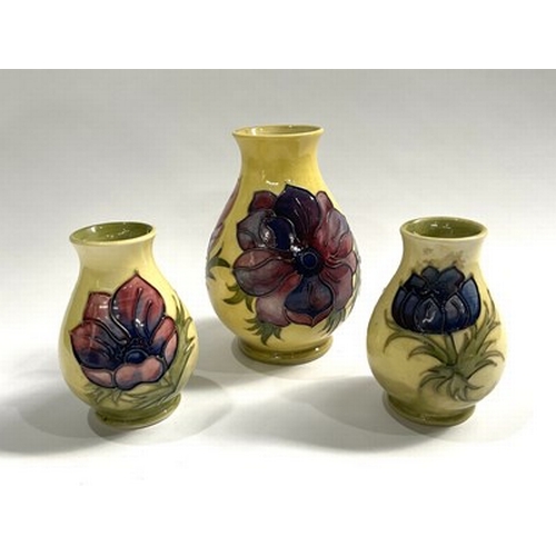 174 - A trio of Moorcroft, Anemone patterned baluster shaped vases, set on a gradient yelllow to green bac... 