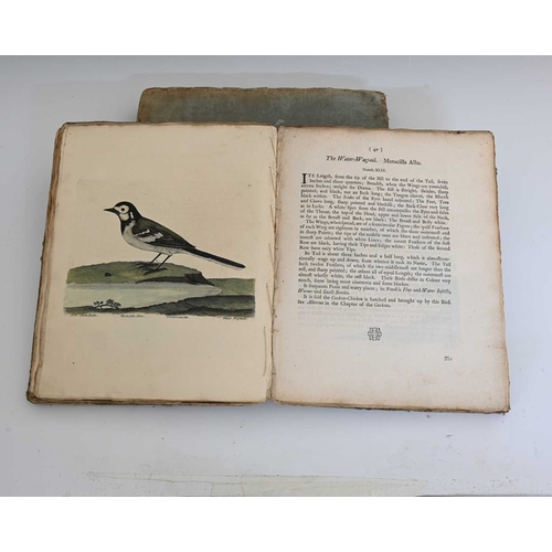 250 - Albin, Eleazar, A Natural History of Birds, Illustrated, 1731/38, first edition, volumes one and thr... 