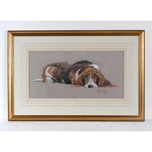 294 - Malcolm Coward (British, 1948), study of a recumbent hound, signed l.r., pastel, 30 by 60cm, gilt fr... 