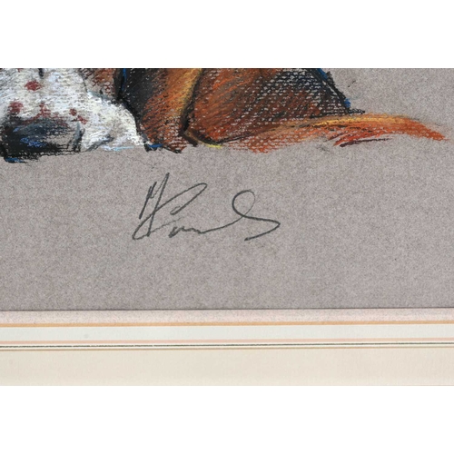 294 - Malcolm Coward (British, 1948), study of a recumbent hound, signed l.r., pastel, 30 by 60cm, gilt fr... 