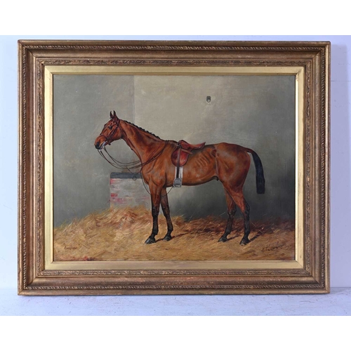 310 - Henry Frederick Lucas-Lucas (British, 1848-1943), Casino (Bay Racehorse), signed and dated 1905 l.r.... 