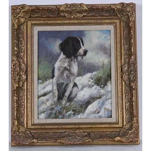 343 - John Trickett (British, 1952), a Springer Spaniel in a winter landscape, signed l.r., oil on board, ... 