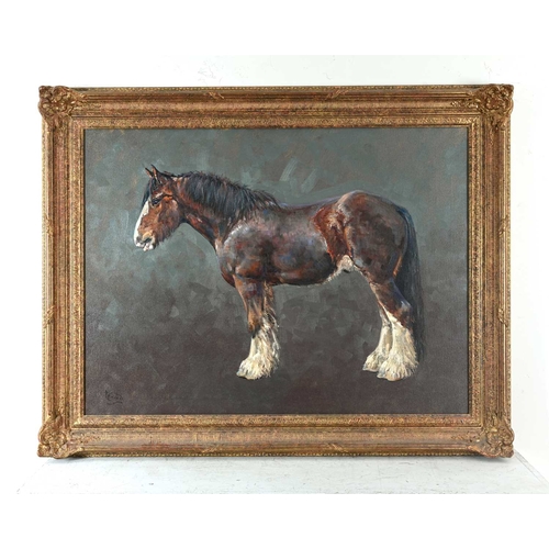 347 - Malcolm Coward (British, 1948), portrait of a shire horse, standing in profile, signed l.l., oil on ... 