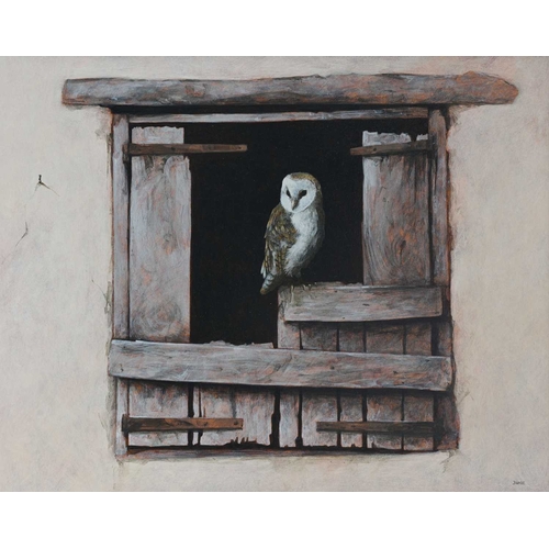 354 - Ron Bone (British, 1950-2011), Young Owl, signed l.r., titled and dated 2008 verso, acrylic on board... 