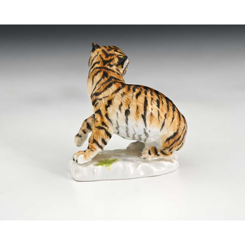 534 - A Meissen figure of a tiger, 20th century, model 1471, underglaze blue mark and stamped numbers, 6.5... 