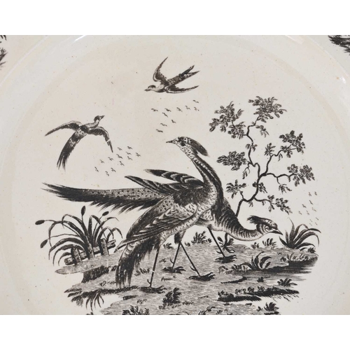 728 - A pair of Wedgwood creamware plates, circa 1770, Liverpool printed in black with fancy birds, each o... 