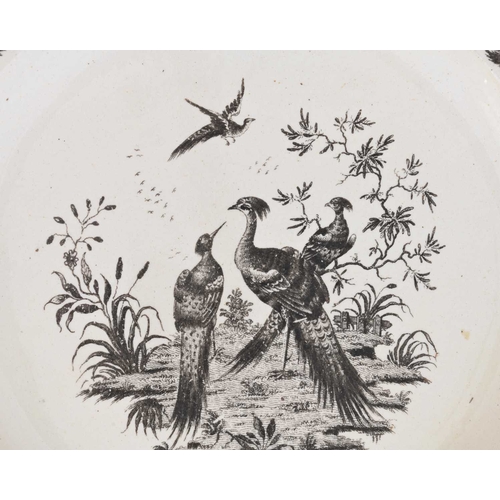 728 - A pair of Wedgwood creamware plates, circa 1770, Liverpool printed in black with fancy birds, each o... 