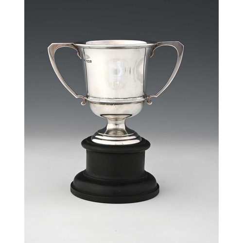 137 - A George V silver two-handle trophy cup, 