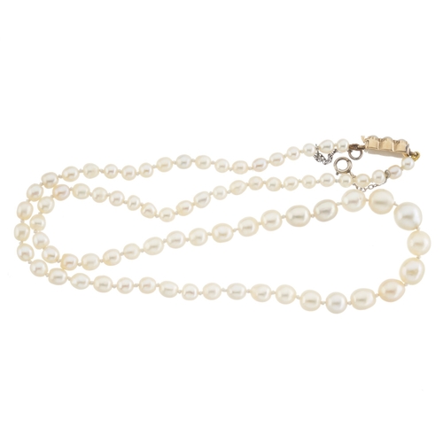 23 - An early 20th century natural pearl single-strand necklace, with gold pearl accent push-piece clasp,... 