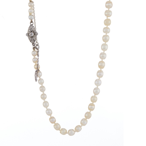 24 - An early 20th century natural pearl necklace, with platinum vari-cut diamond clasp, with report from... 