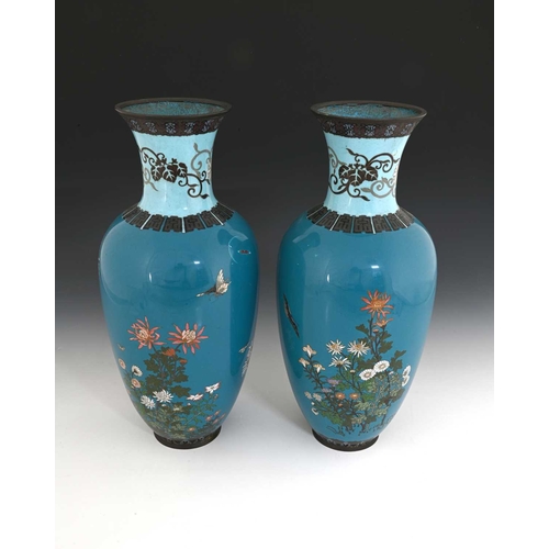 422 - A large pair of Japanese cloisonne enamel vases, shouldered for, blue ground, decorated with bouquet... 