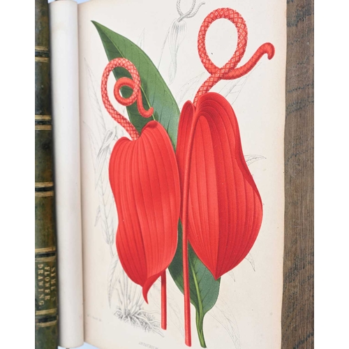 453 - Syme, Patrick, Practical Directions for Learning Flower Drawing, 1810 first edition, printed for the... 