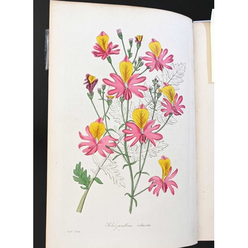 455 - Paxton, Sir Joseph, Paxton's Magazine of Botany, 1834, first edition of the volume, Orr and Smith, L... 