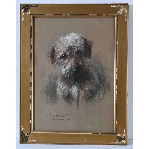 530 - Maud West Watson (British, 1865-1945), A Young Dandie Dinmont, signed l.l., titled verso on Paisley ... 