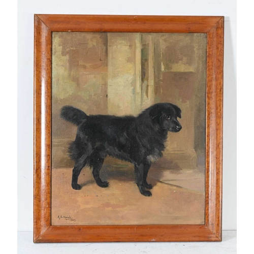 619 - Alfred Grenfell Haigh (British, 1870-1963), portrait of standing black dog, signed and dated 1923 l.... 