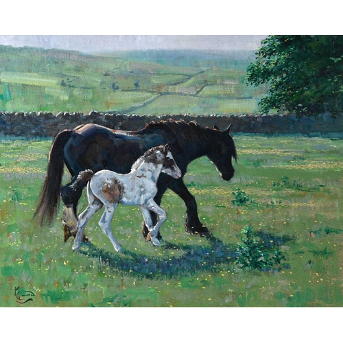 622 - Malcolm Coward (British, 1948), a mare and foal in a field, signed l.l., oil on canvas, 60 by 75cm, ... 