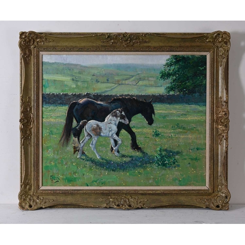 622 - Malcolm Coward (British, 1948), a mare and foal in a field, signed l.l., oil on canvas, 60 by 75cm, ... 