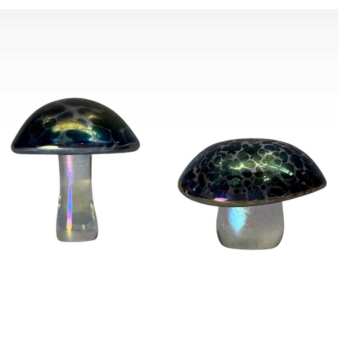 231 - Two iridescent glass mushrooms, after John Ditchfield, unsigned, tallest 6cm high together with a co... 