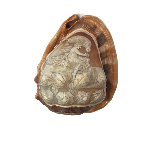 367 - An Italian cameo conch shell, carved to depict a classically draped boy feeding a bird, designed to ... 