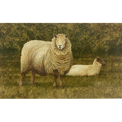 453 - Nigel Ashcroft, (British, 1951-), 'Ewe and Lamb', signed l.l., watercolour on paper, 19.5 by 31.5cm... 