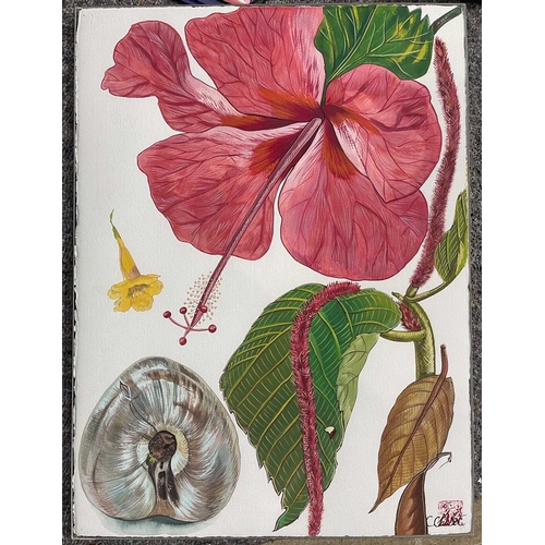 503 - C. Chabot (20th Century), Hibiscus, Citron, and Helicomia, a triptych, all signed l.r., with pseudo ... 