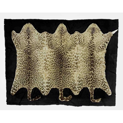 774 - An early 20th century three-skin leopard rug sewn on a scallop-edged black felt, 210 by 160cm
An ear... 