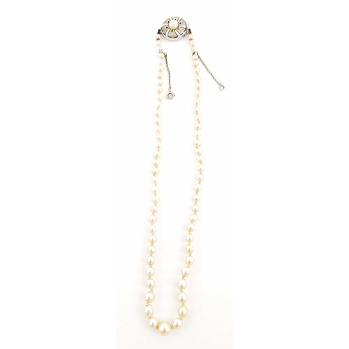 309 - A graduated cultured pearl single-strand necklace, with white metal push-piece clasp, pearls measuri... 