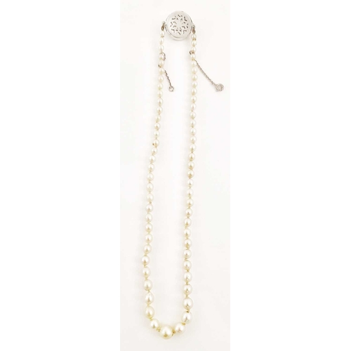 309 - A graduated cultured pearl single-strand necklace, with white metal push-piece clasp, pearls measuri... 