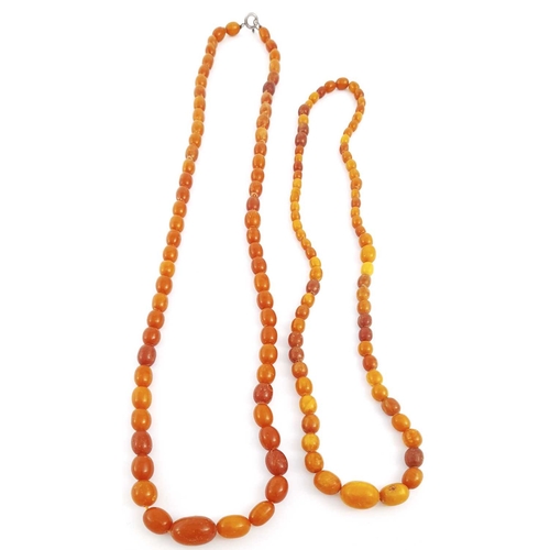 314 - Two natural amber graduated bead necklaces, beads measure 8mm to 23mm, lengths 72cm and 90cm, total ... 