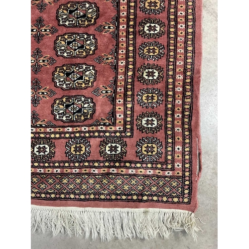 340 - Two Bokhara-type wool rugs, brown geometric design on red ground, approx 170cm long, 96cm wide (2)